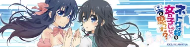 『ネトゲの嫁は女の子じゃないと思った?』イメージ
