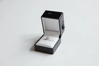 YES CAM（R）（1）