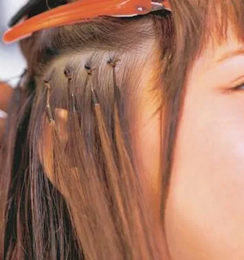 埋め込みはこんな形