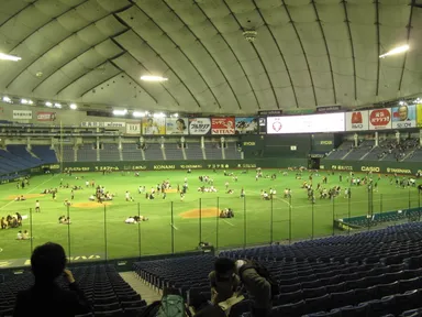 過去公演時の様子