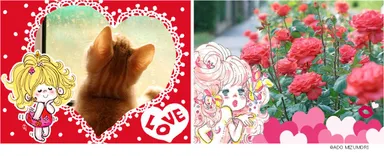 お気に入りの写真を可愛くデコレーション