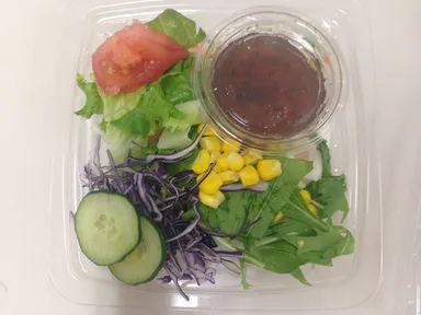 １０品目の彩りサラダ