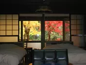 部屋からの紅葉