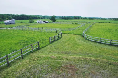 広大な牧草地