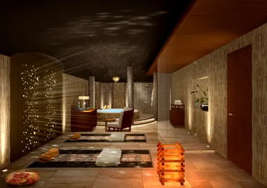 プレジデンシャル メゾネット ジャグジー・低温サウナ