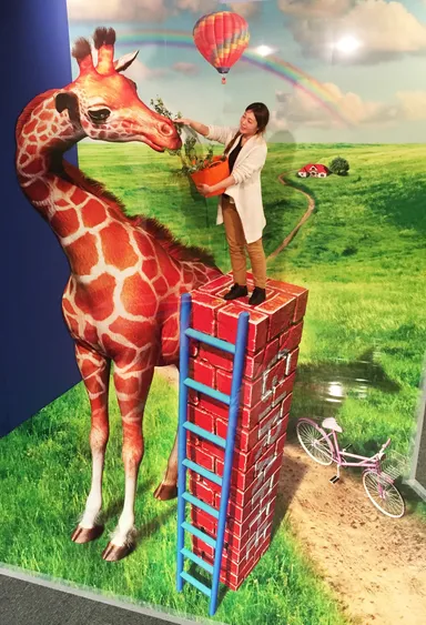 キリンにえさやり