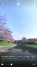 VR動画見本1(岡崎桜)