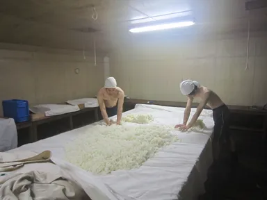 天然麹菌での麹製造