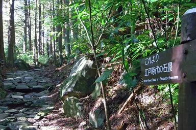 箱根峠に残る江戸時代の石畳