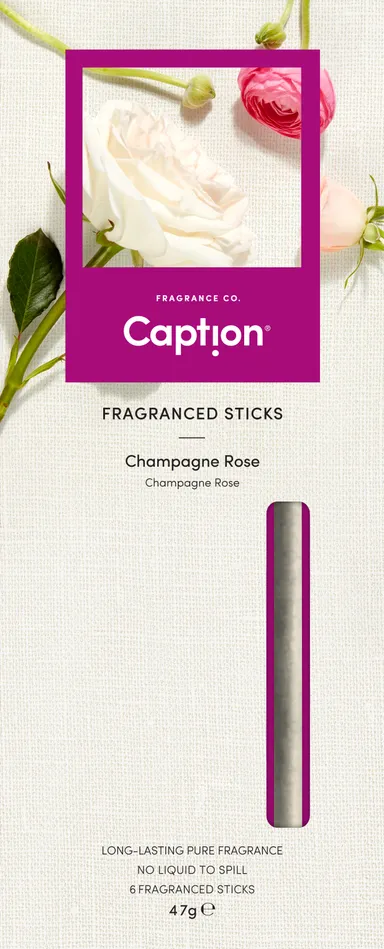 Caption 製品イメージ 1(部屋用)