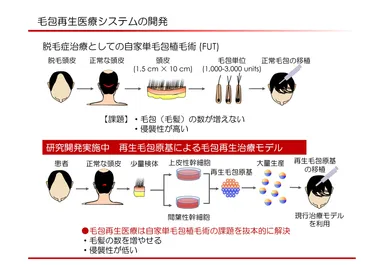 毛包再生医療システムの開発
