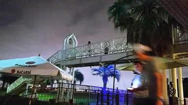 緑地とヘミングウェイ