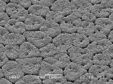 3Dプリンタヘッド洗浄用フィルム フィルム表面のSEM写真(×200)