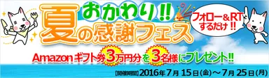 『board』夏の感謝フェス・おかわり！