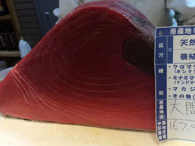 すし大学(sushiuniversity(R))イメージ