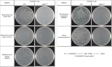 コレスゴ！の除菌力 1