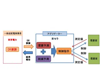 実証事業の概要