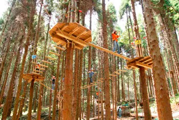 森の中の冒険王国