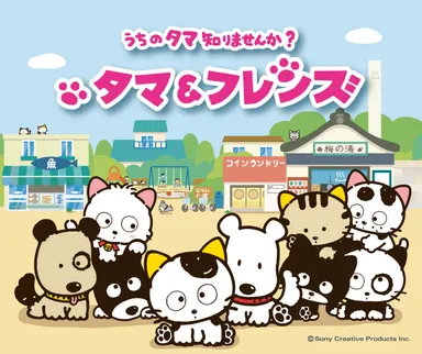 「タマ＆フレンズ ～うちのタマ知りませんか？～」