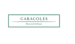 有限会社カラコレス