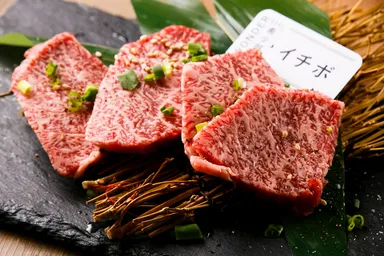 大人も嬉しい和牛に特化