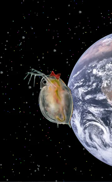 地球の運命は？