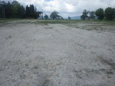 種子散布工施工後1カ月半植生不良(6月初旬)