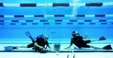 水中カメラの様子