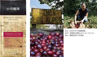 ロスアルペス　イメージ