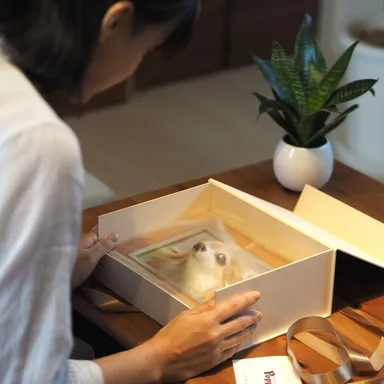 専用BOX入りでギフトにも最適