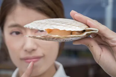 たっぷり肉厚の地元産帆立