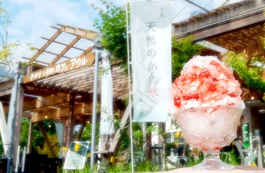 日光天然のかき氷　とちおとめ