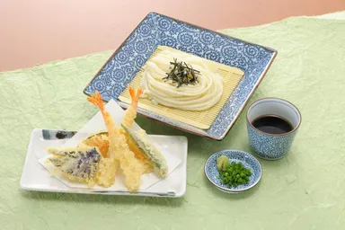 天ざるうどん