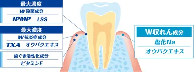 デントヘルス薬用ハミガキ SP