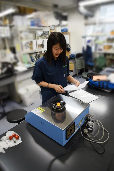 フルーツセレクター