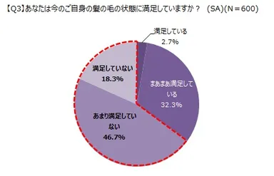 【Q3】あなたは今のご自身の髪の毛の状態に満足していますか？