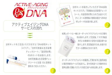 アクティブエイジングDNAの流れ