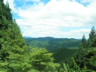 「大人大学」イメージ