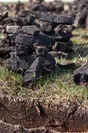 アイラ島環境特徴　ピート(泥炭)