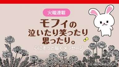 モフィの泣いたり笑ったり思ったり。