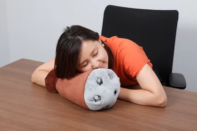 使用例(アッガイ)