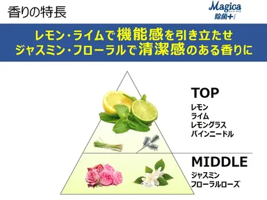 香りの特長