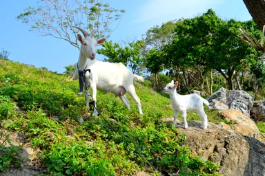 返礼品イメージ_2