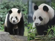 東京都恩賜上野動物園