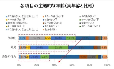 各項目の主観的な年齢