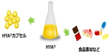 図2：HYAの利用方法