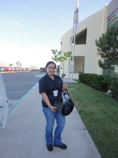 植林活動を行う社員