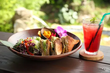 キャンペーンＢ　投稿例２