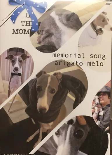 『One Won Song』DVDサンプル