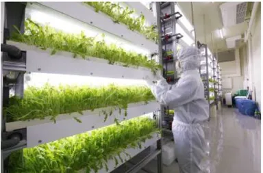 清らか野菜・阪神原木しいたけ